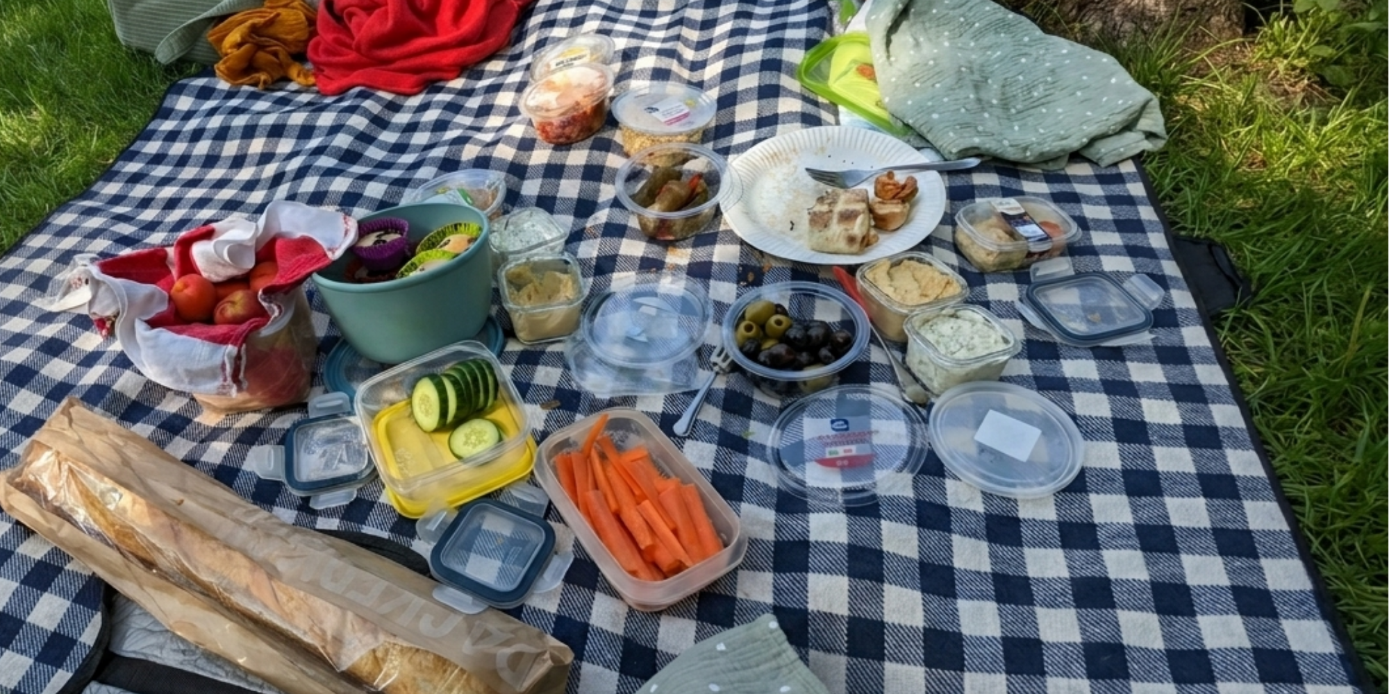 Familienpicknick auf einer Wiese