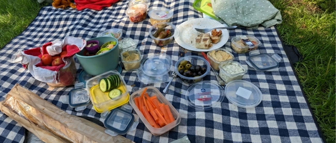 Familienpicknick auf einer Wiese